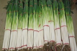 章丘大葱一亩地能产多少斤，章丘大葱一亩地能产多少斤