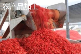 农村创业有哪些好项目，农产品电商