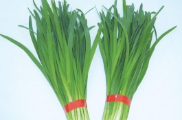 种韭菜要量好，产量高，用肥料有哪些技巧