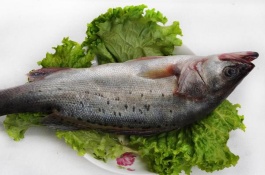 哪些养殖项目最赚钱