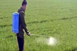 戊唑醇的用量，戊唑醇的注意事项