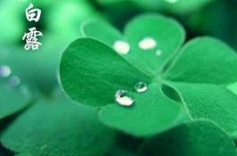 什么是白露，白露与农业农事