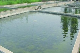 鱼塘消毒的常用药剂有哪些，养鱼池消毒的注意事项