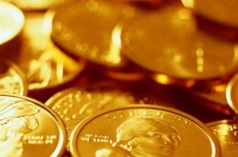 宝塔花椰菜苗的价格是多少，宝塔花椰菜的育苗技术要点