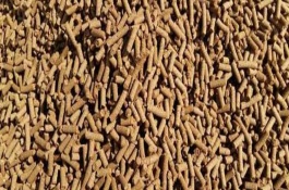 微生物饲料添加剂名词解释