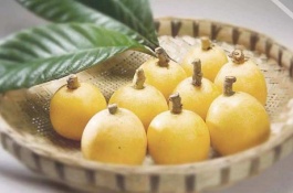 一棵白玉枇杷苗多少钱，白玉枇杷苗价格多少钱一棵