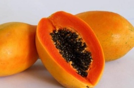 常见的木瓜品种有哪些,木瓜有哪些常见品种