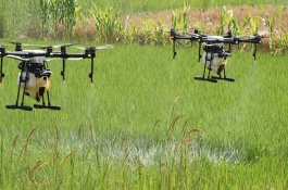 生物农药比传统农药有哪些优势，对生态环境的影响小