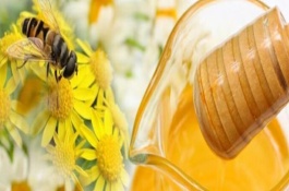 意蜂蜜一斤多少钱，意蜂蜜与土蜂蜜哪个好