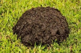 有机肥料的制作方法，有机肥料的制作方法