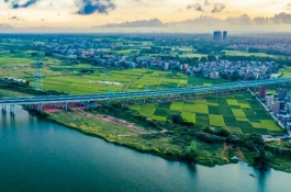 吴川特色小吃和特产是什么，吴川是我国广东省辖县级市