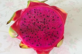 火龙果可以盆栽吗