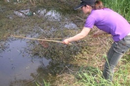 澳洲龙虾一斤多少钱，澳洲龙虾多少钱一斤