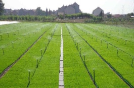 40亩做喷灌要多少成本，喷灌设备的分类