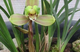 养殖方法方法及注意事项，养殖方法1