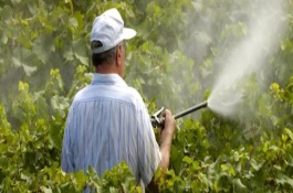 打农药温度是多少较好，温度高可以打农药吗