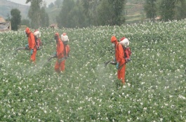 灭多威为什么被禁用，灭多威施用方法