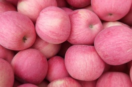 黑桃苗的品种特点是什么，营养价值高