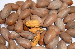 浙江绍兴有哪些土特产，绍兴霉干菜