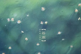 谷雨是哪一天，谷雨是我国24节气中的一个节气