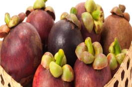 怎样种山竹,1.种植土壤山竹其实适应性蛮强