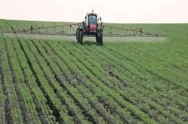 芒种的农事活动，芒种气候特征
