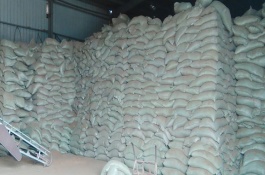 饲料行业发展趋势，饲料行业的发展现状