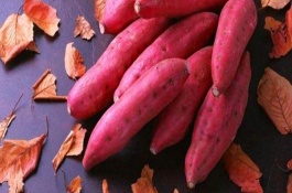 红薯专用肥配方，红薯专用肥会产生药害吗