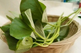 有哪些可靠的家庭加工项目