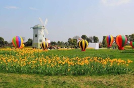 秦王桃苗价格多少，秦王桃种植利润分析