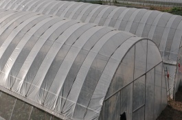 大棚温湿度监控系统可以定制吗，大棚温湿度监控系统是什么