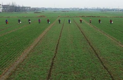 追肥用什么肥料