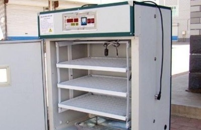 全自动孵化机使用方法？多少钱一台？