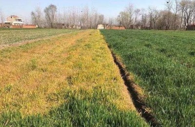 除草剂种类有哪几种?怎么分类