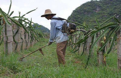 除草剂种类有哪几种?怎么分类
