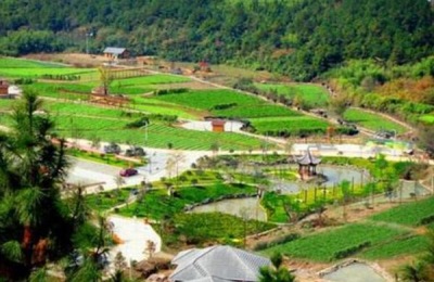 哪些养殖项目前景广阔？这三个项目备受关注