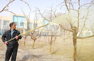 百泰的使用禁忌