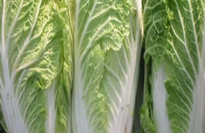 什么最好卖地摊赚钱?这些前景不错