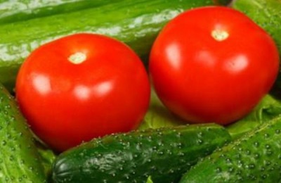 一株大粉番茄苗多少钱？种植大粉番茄赚钱吗