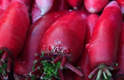 什么时节农作物生长最快