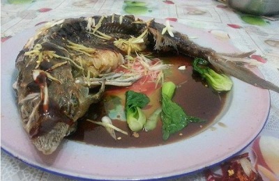 鲟鱼一斤多少钱?养殖前景如何?(附养殖技术)