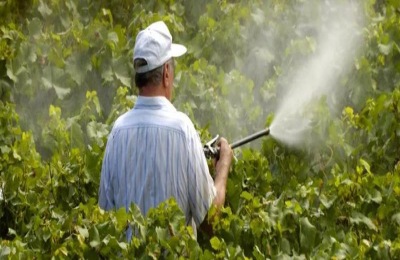 吸引人的农药广告语有哪些