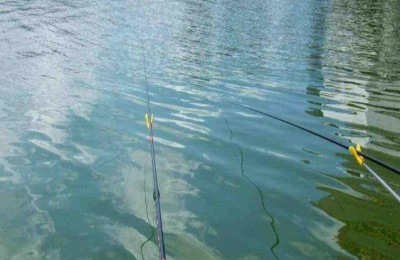 白露前后钓鱼用什么饵料