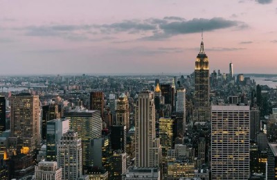 怎样养金虎仙人球