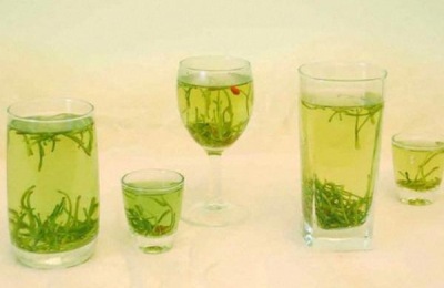 一棵金银花苗多少钱？种植效益如何