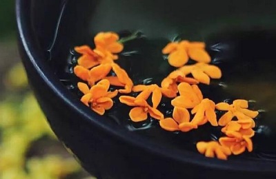 桂花酒是哪里的特产