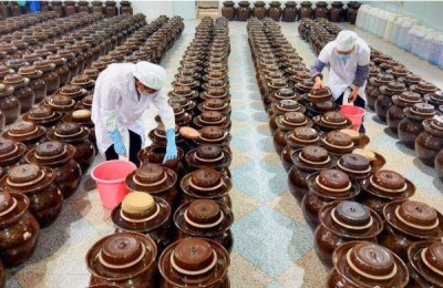 如何在农村创业致富?这六个项目可以考虑