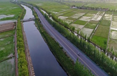 烟薯25号产地在哪里？种植25号烟薯赚钱吗