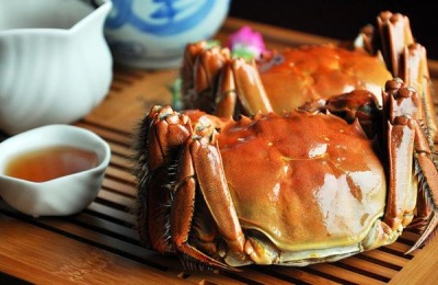 大闸蟹苗有哪些品种