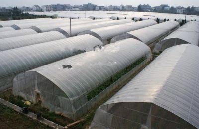 大棚薄膜怎么安装、固定、绷紧拉紧？